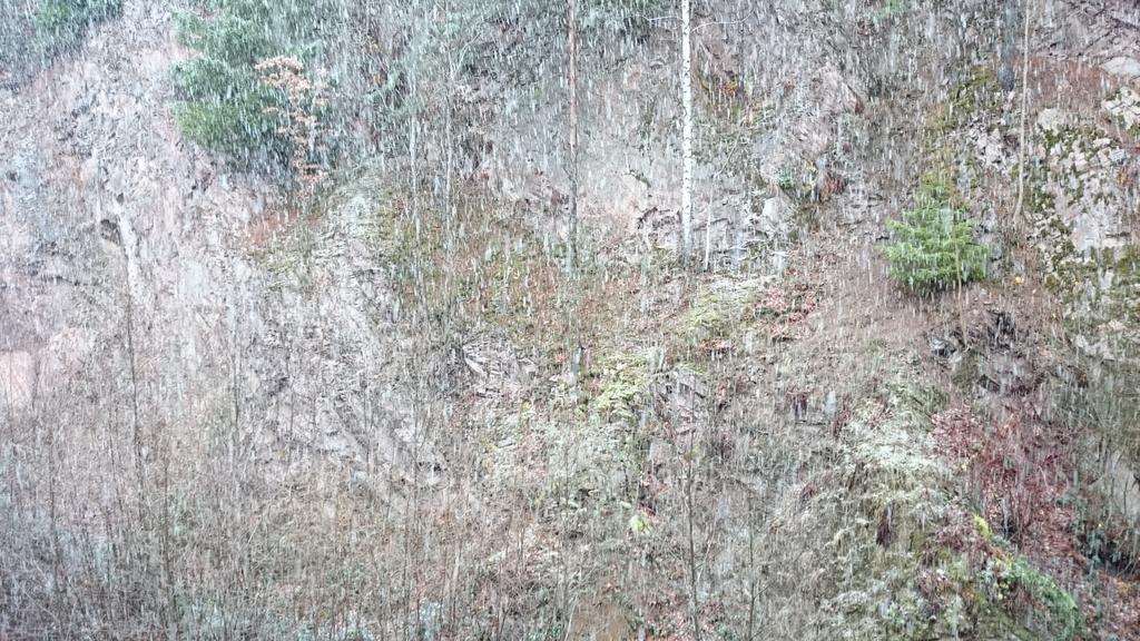 شقة Waldblick Tonbach بيرسبرون الغرفة الصورة