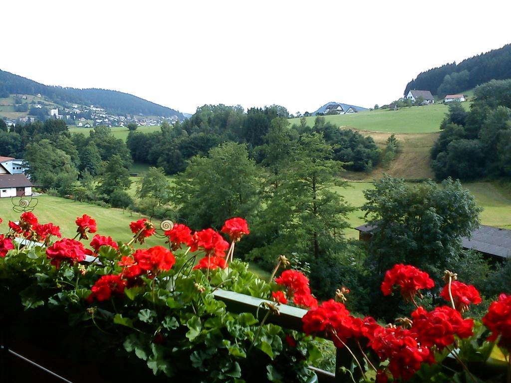 شقة Waldblick Tonbach بيرسبرون الغرفة الصورة